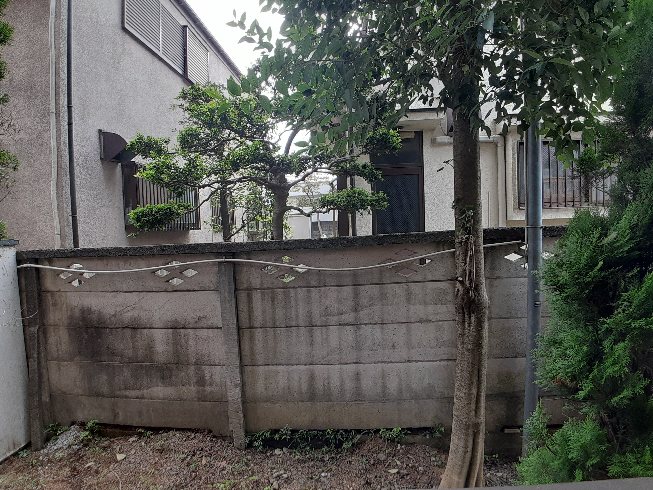 16/30 その他画像