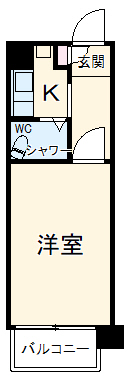 フラッツ100の間取り