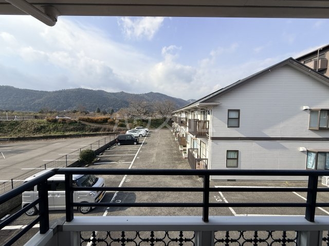 25/30 その他画像