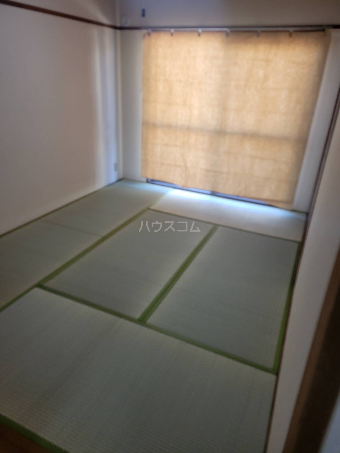 15/23 その他画像