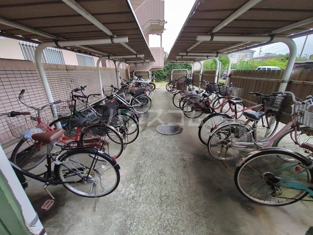 20/30 その他画像