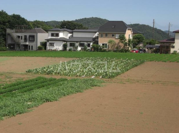 11/22 その他画像