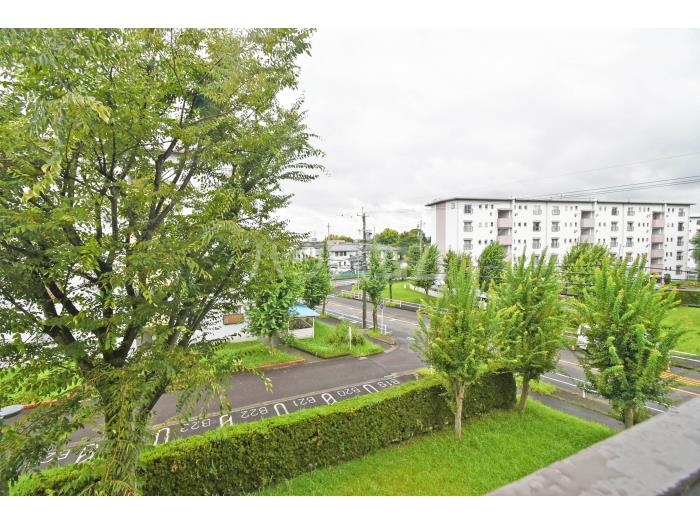 17/26 その他画像