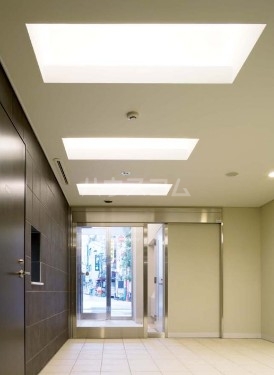 11/21 その他画像