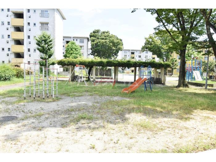 15/25 その他画像