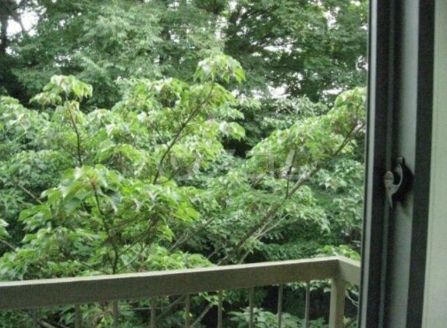 10/20 その他画像