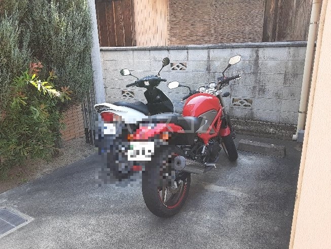 5/17 その他画像