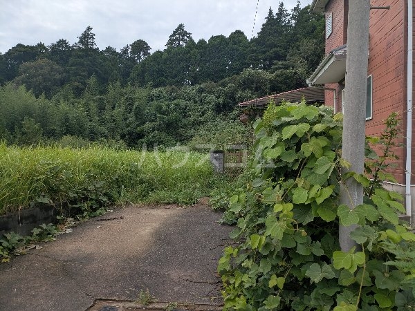 8/8 周辺