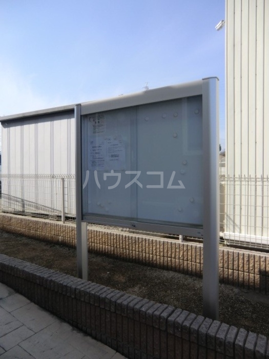 6/11 その他画像