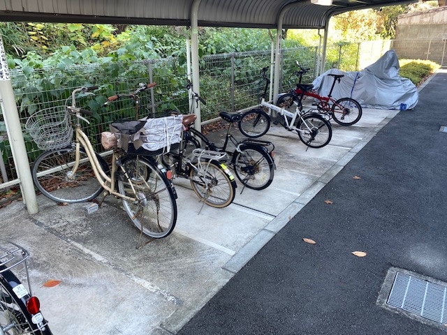 15/25 その他画像