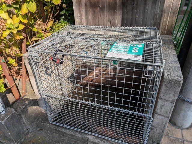 22/29 その他画像