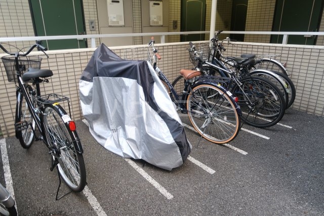 15/18 その他画像