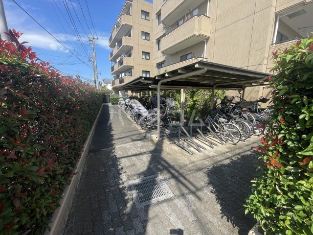 25/30 その他画像