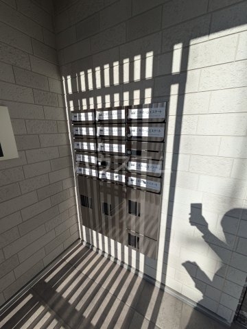 17/25 その他画像