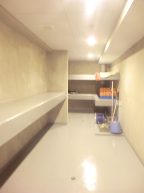 5/11 その他画像