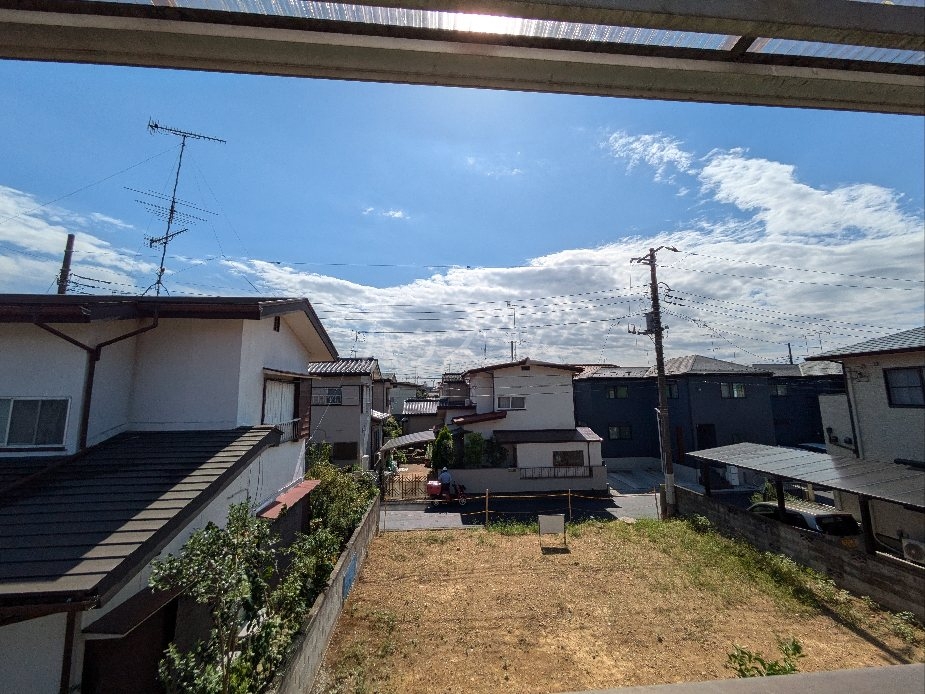 20/30 その他画像