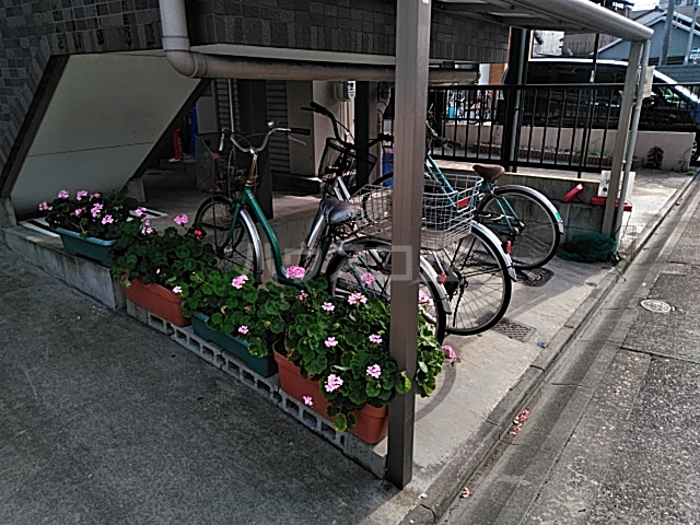 20/30 その他画像