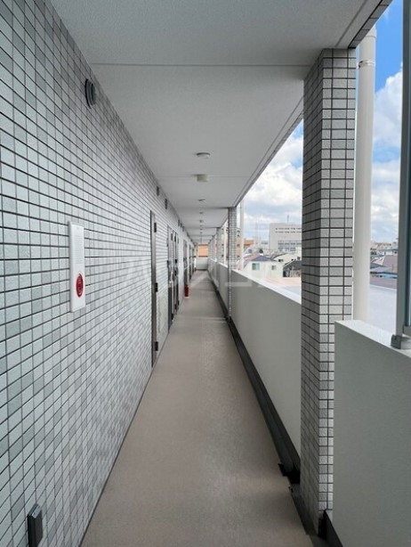 5/17 その他画像