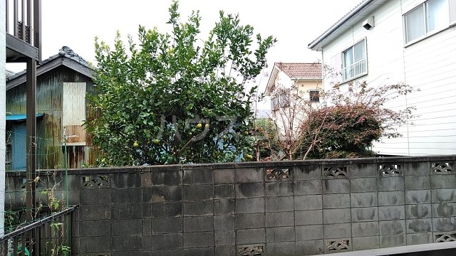 21/30 その他画像