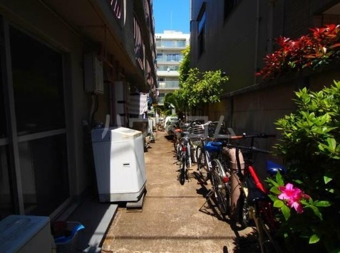 21/26 その他画像