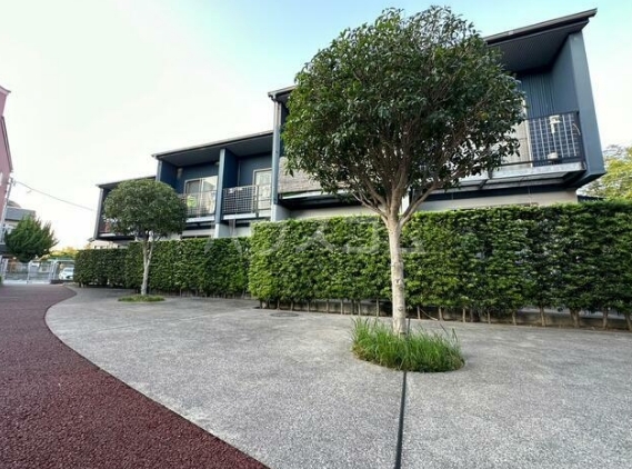 13/16 その他画像