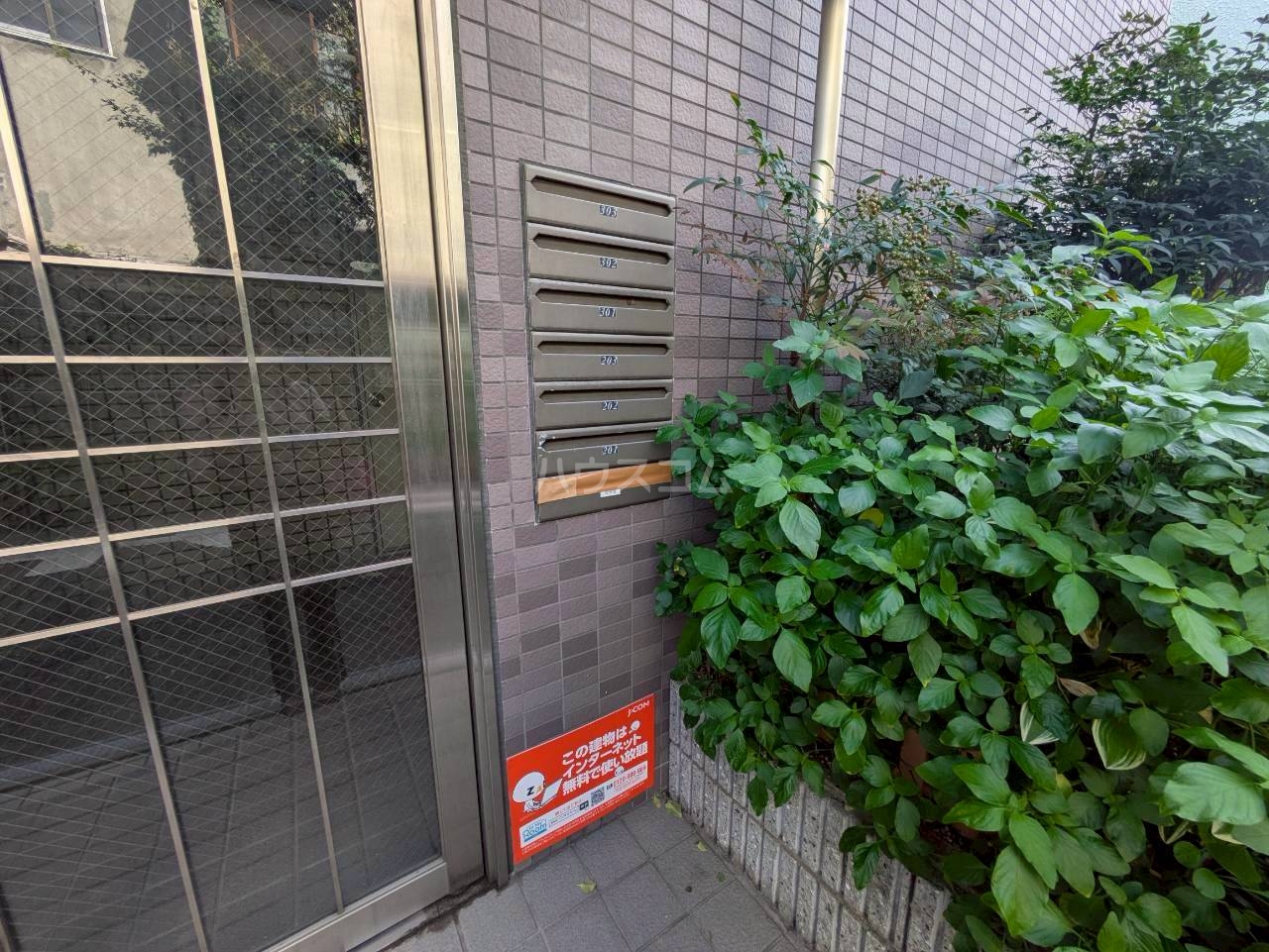 25/30 その他画像