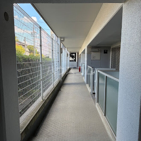 3/16 その他画像