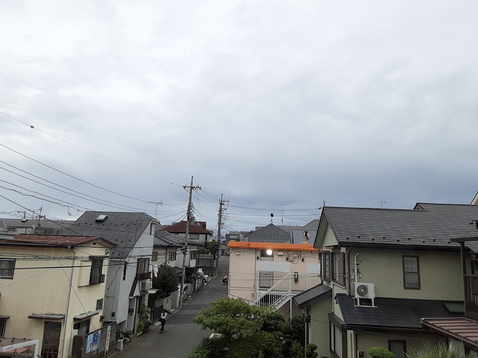 20/30 その他画像