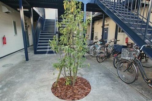 17/28 その他画像