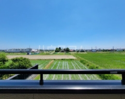 14/24 その他画像