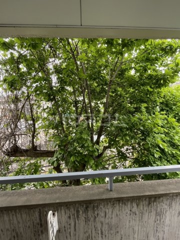 19/27 その他画像