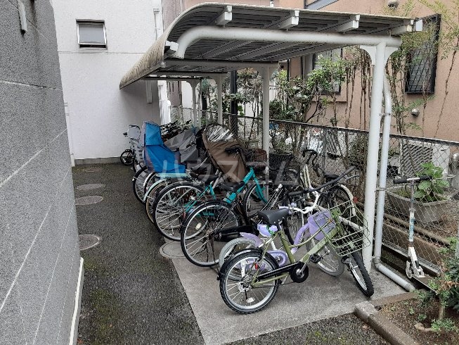 20/30 その他画像