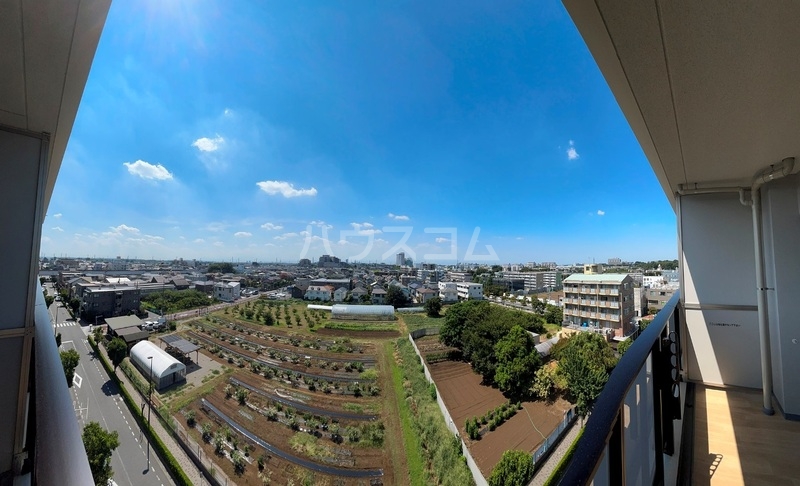 14/29 その他画像