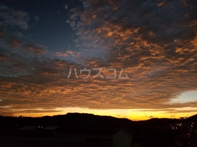 17/29 その他画像