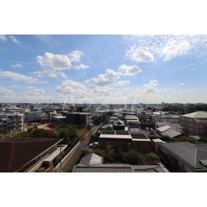 11/22 その他画像