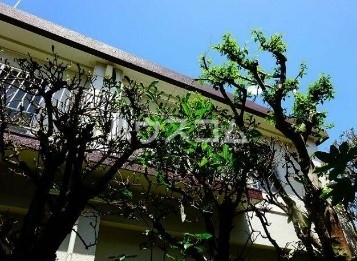 富沢コーポの間取り