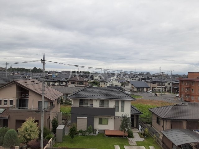 20/30 その他画像