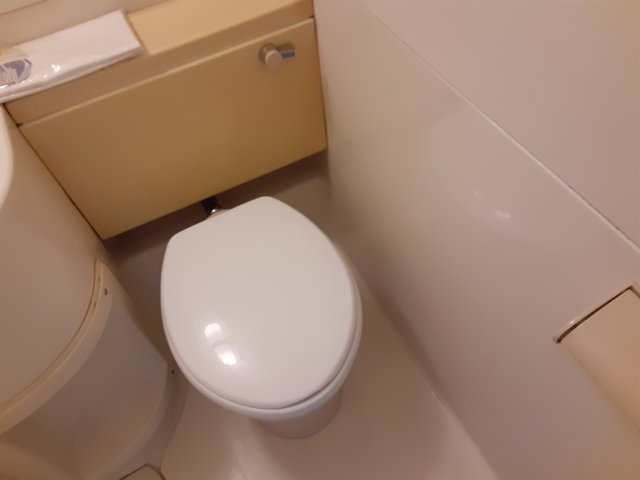 8/28 トイレ