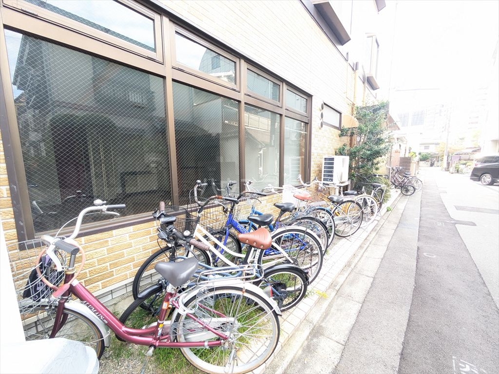 20/30 その他画像