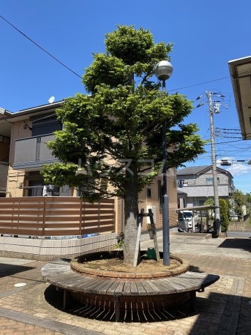 20/27 その他画像