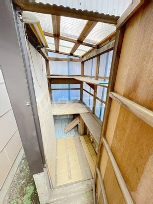 20/30 その他画像