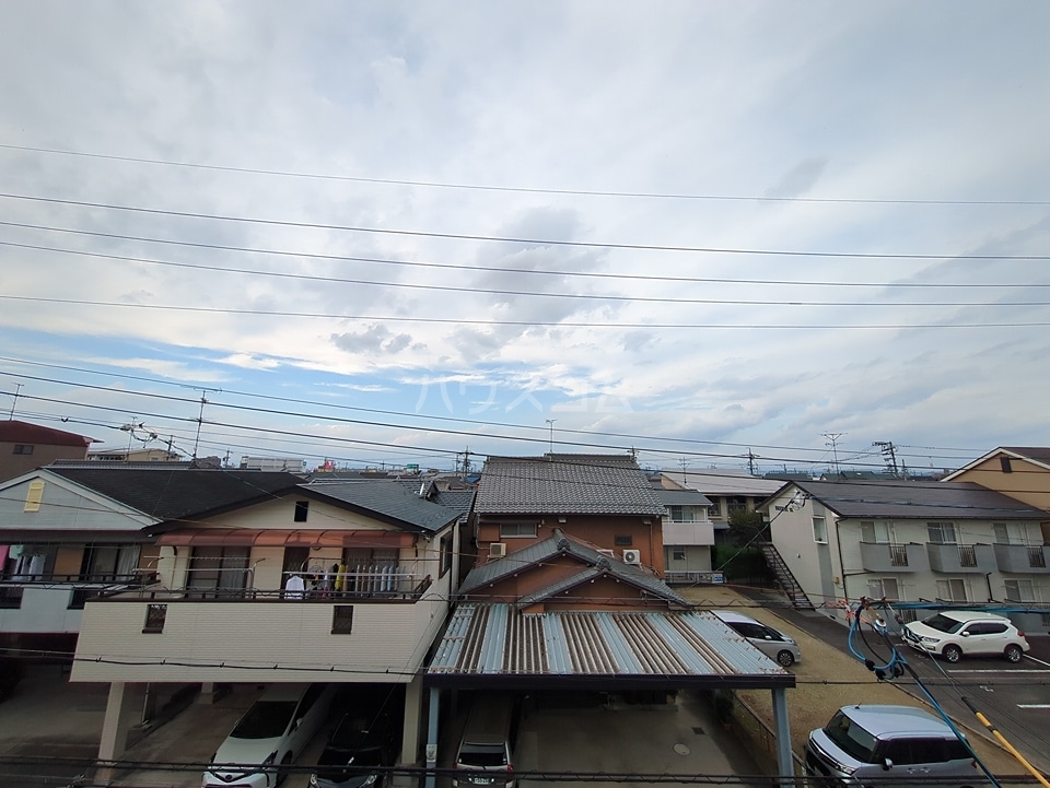 20/30 その他画像