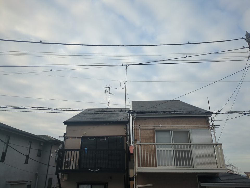 18/21 その他画像