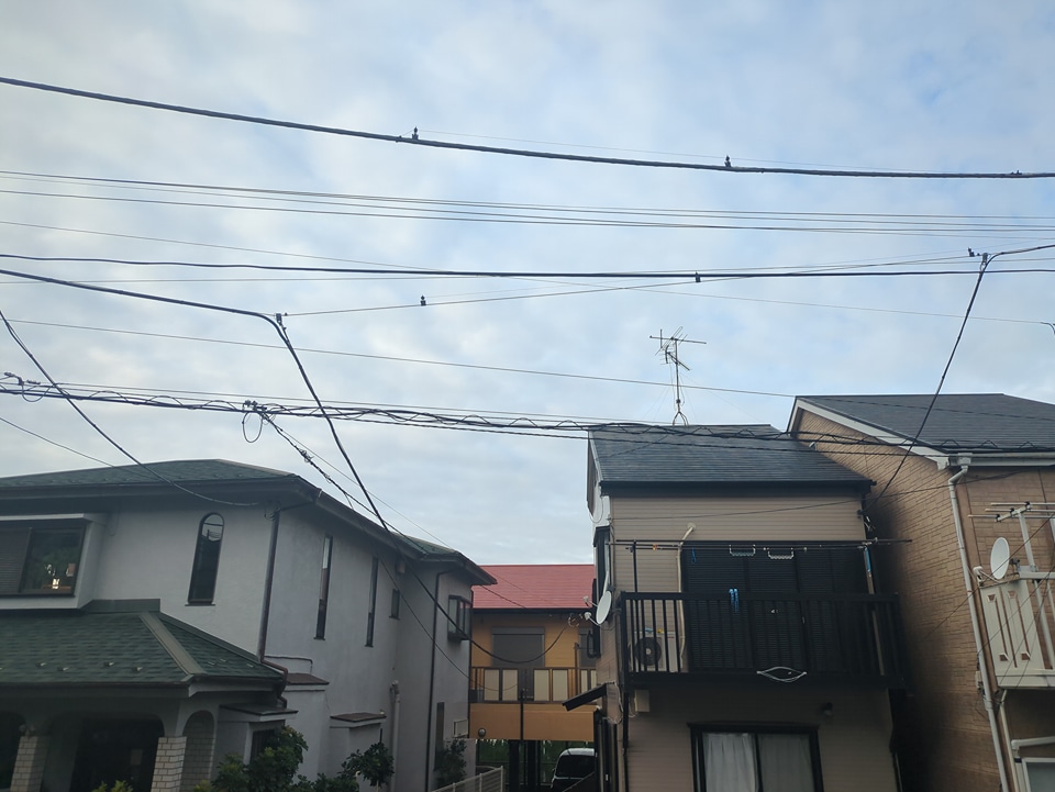 16/21 その他画像