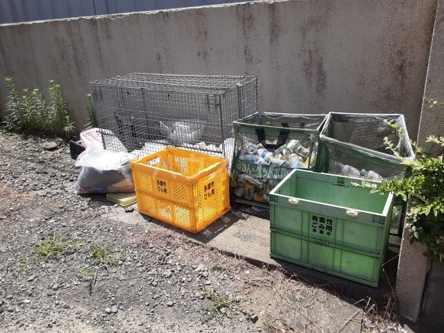 19/29 その他画像