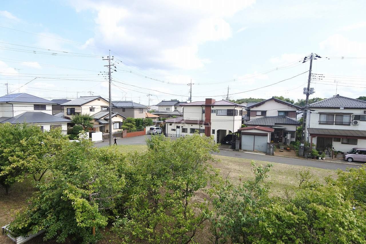 13/16 その他画像