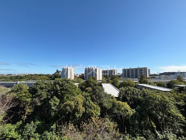 15/30 その他画像