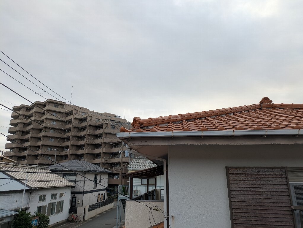 19/24 その他画像