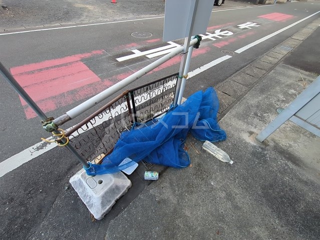 20/30 その他画像