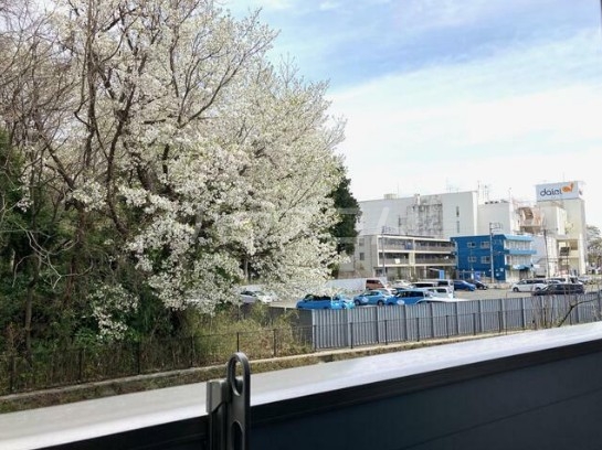 15/26 その他画像